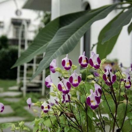 Hasayaki Homestay Sanxing Exterior foto